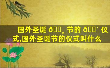国外圣诞 🌸 节的 🐴 仪式,国外圣诞节的仪式叫什么